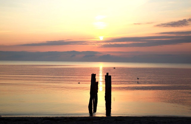 Vacation home for 8 guests with 135m² in Glowe (270216)