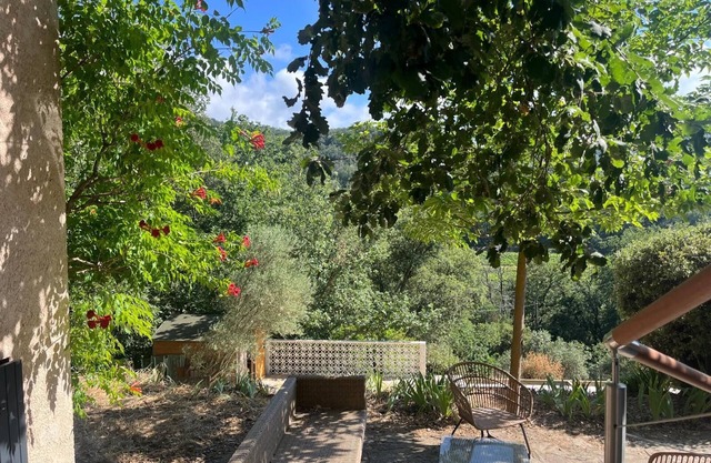 Vacation home in the forest - Quiet, exceptional setting, swimming pool.