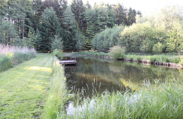Vacation in the heath! Recreation and adventure for children and adults