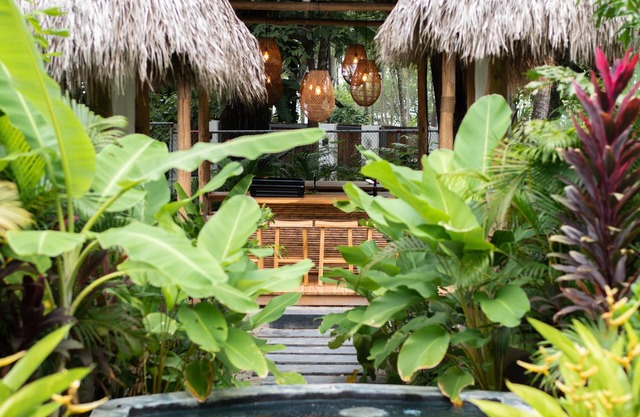 Vida Nova Casa Resort- A Luxury 7 bedroom Beach Villa