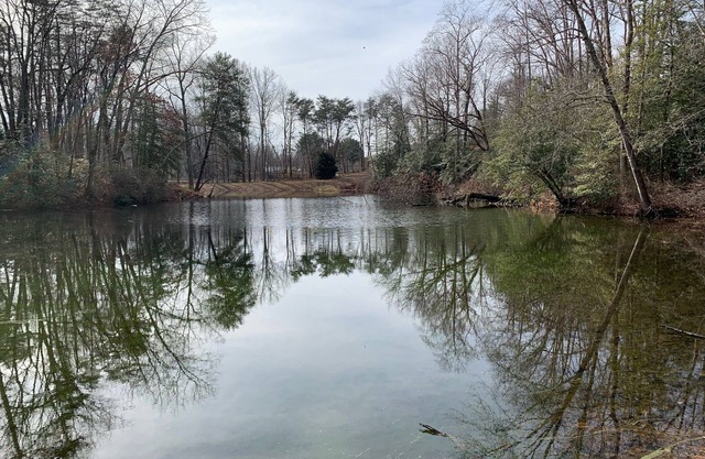 View Peaceful Pond while lounging in this open studio apartment!