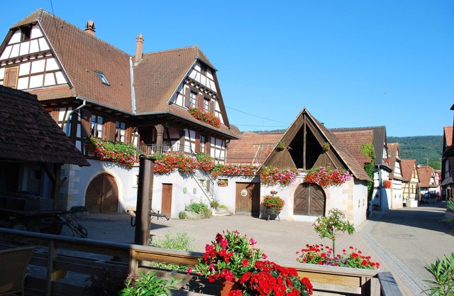 Vignoble de Cléebourg - 10