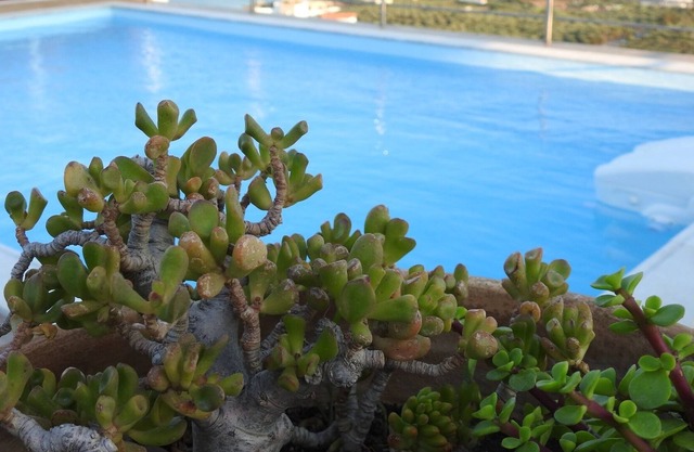 Villa Aiolos*Sea view*Pool*Kouremenos Beach