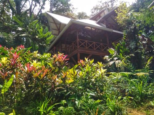 Villa Colibrí