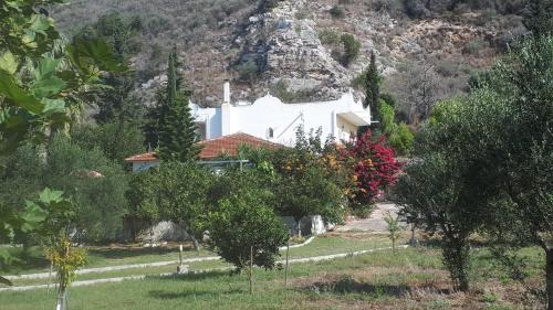 Villa Dunes 350m from the sandy beach