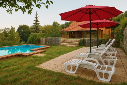Villa Felix with spectacular pool in green oasis