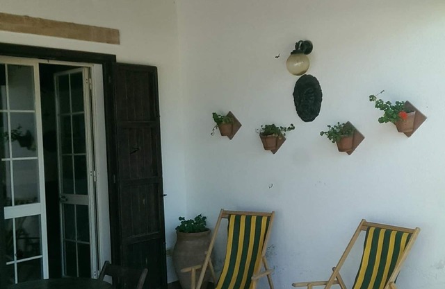 Villa garden verandas tree-lined avenues lawn 20 meters from the sea