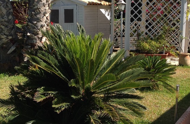 Villa in ATHENA RESORT