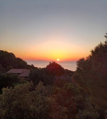 Villa La Lecceta surrounded by greenery and sea view with sunset
