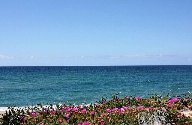 Villa on sand dunes a few steps from the sea, complete relaxation in Northern Sardinia