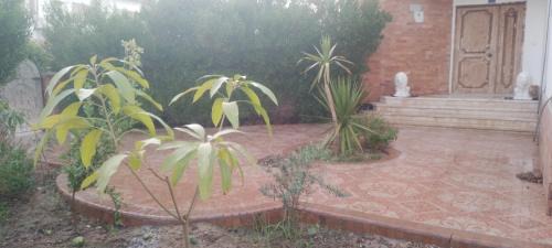 Villa on the beach- Sea View-Ground Floor with garden فيلا على الشاطئ - إطلالة على البحر - الطابق الأرضي مع حديقة