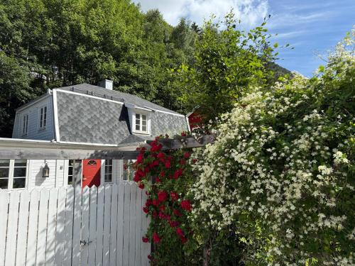 Villa Rjukan