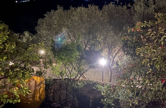 Villa Sevastoula (formerly Villa Skalita)