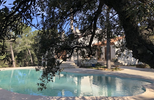 Villa surrounded by nature, cicadas and pine trees