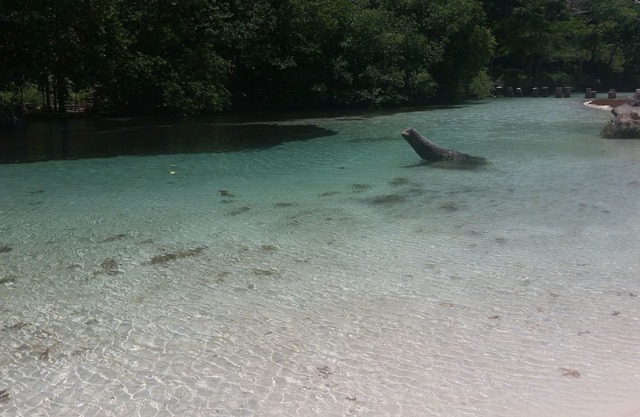 Villa Ximenoa River - Excelent Vacation Rental
