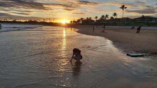 Village com Garden Privativo, Itacimirim