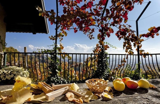 Vineyard cottage Verček