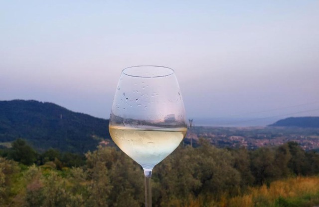Vinomare Guesthouse