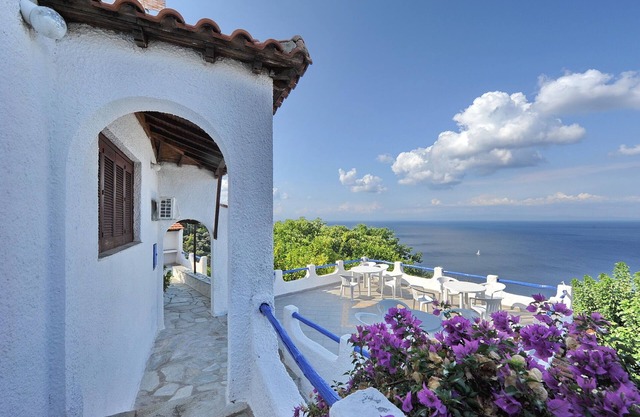 VIOLA. Infinity panoramic pool. Privileged view of Egean. Access to the sea.