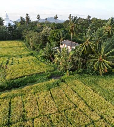 Viveka Inn Guest and Yala Safari