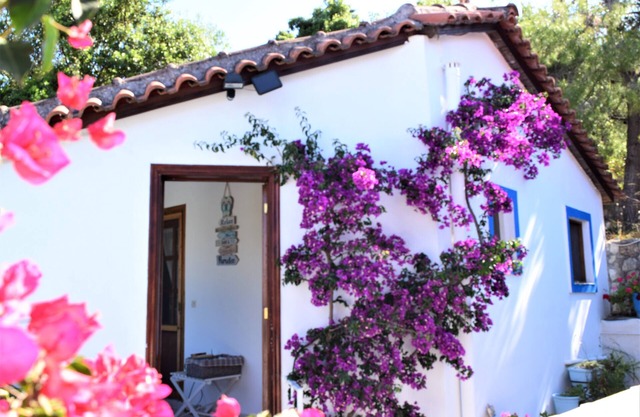 Voro Cottage, Lithakia Village, private plunge pool and panoramic sea views.