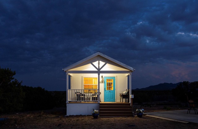 Wake Up With Miniature Horses!