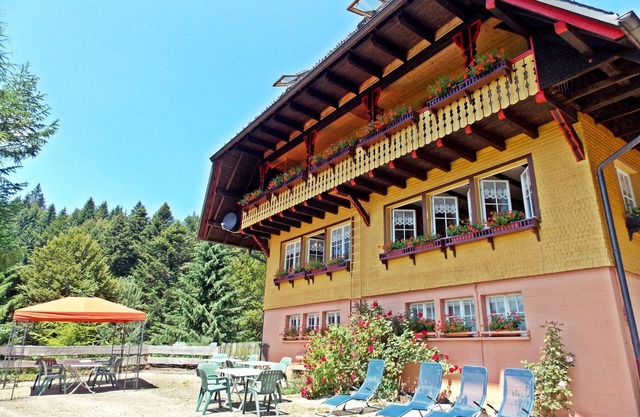 Wald-Wohnung in Todtmoos