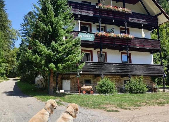 Waldblick Ferienwohnungen