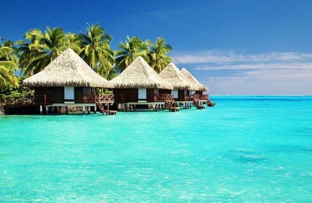 Waldorf! Stay in style! Relax in style! Enjoy More!