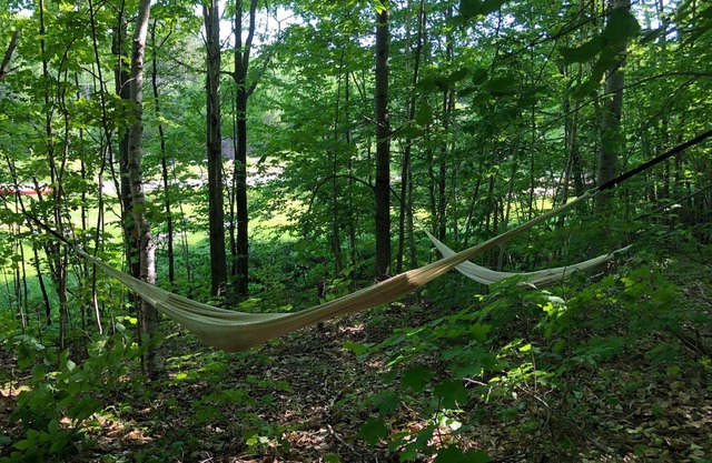 Walk out deck room 1. Minutes from the Lake, Boat Launch, Dorset