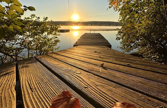 WATERFRONT 20' from Lake Private EndofRoad Float KayaksFirepit 2026 is Booking