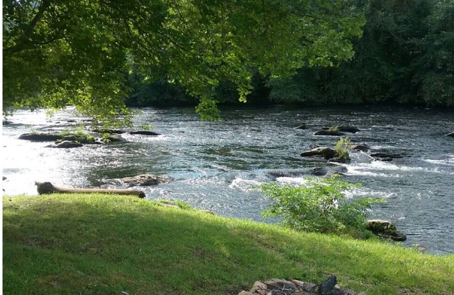 Waterfront cabin - quick/easy access to surrounding areas