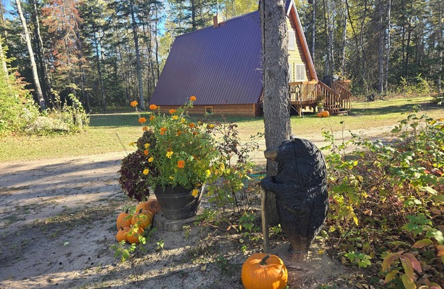 We are 22 mi from Warroad, 26 mi from Roseau, 2.3 mi from Hayes Lake State Park