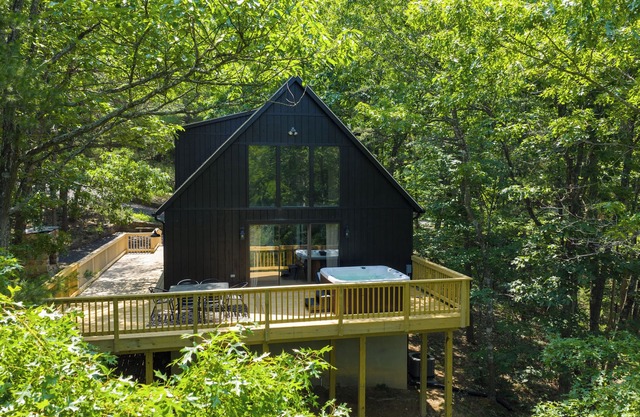 Welcome to The Basye Swan