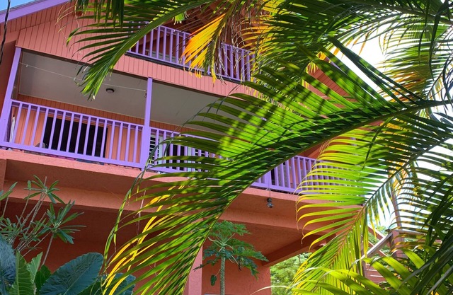 Welcome to the jungle Beach~House & Pool