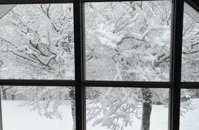 Welcome to the stunning Bergbewohner ski chalet!