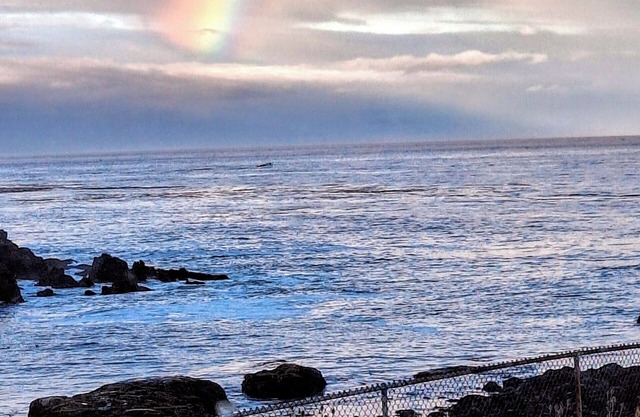 Whales Pointe Resort on the Oregon coast. 3-bedroom oceanfront corner unit