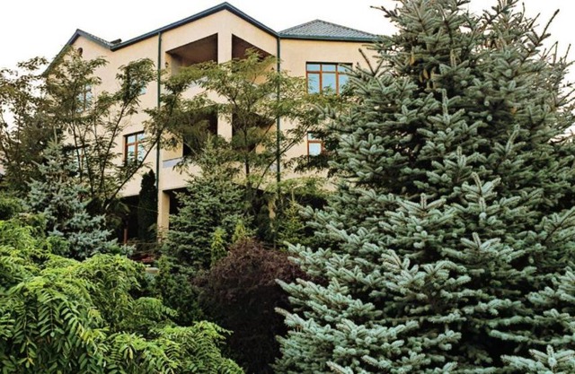 Whirling Winds Inn