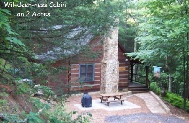 Wil-deer-ness Cabin- Secluded-Firepit-Hot Tub-WiFi-Dog Friendly