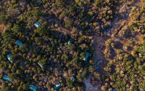 Wild Trails Yala by Mili