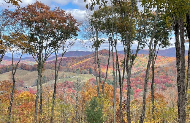 Wildwood Cabin on two acres with mountain views