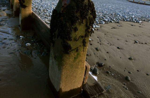 Windsor House, Borth