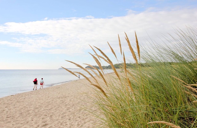 With sea view, use of swimming pool and sauna - Haus Inselblick FeWo MEERrauschen