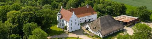 Wohnung 2 Storchennest ID 384