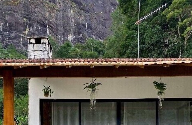 Wonderful house in the mountains with tree house