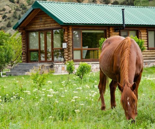 Wooden House in WildLife Refuge