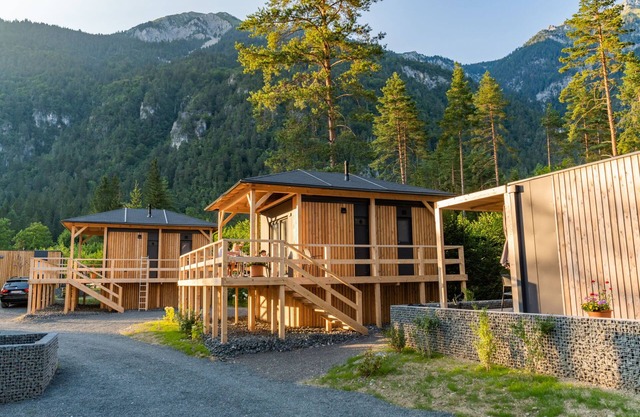 Wulfenia 6 by Interhome