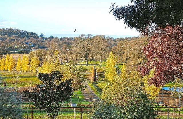 Yosemite Gateway/HorseRanch Cottage/Outdoor SoakingTub & Shower/Scenic Views
