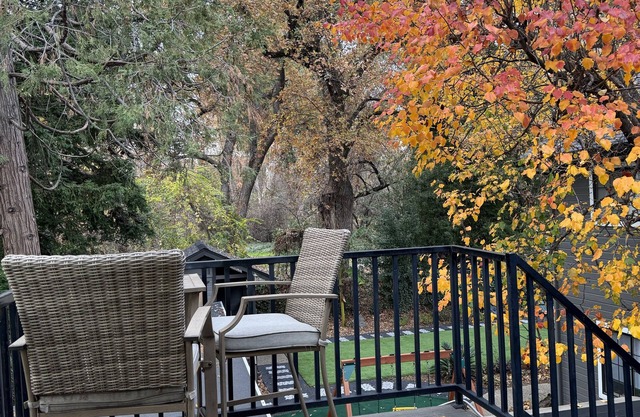 Your own modern treehouse overlooking Bidwell Park