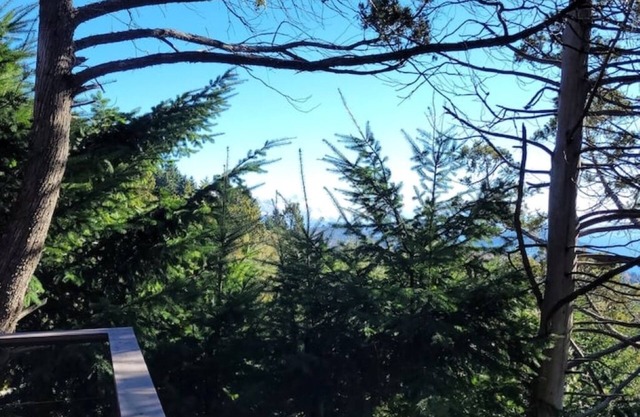 Your place in the mountains